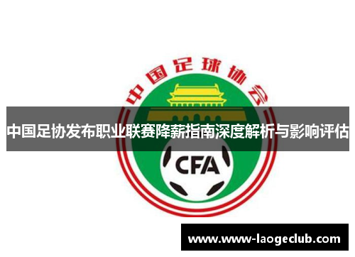 中国足协发布职业联赛降薪指南深度解析与影响评估