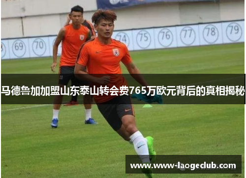 马德鲁加加盟山东泰山转会费765万欧元背后的真相揭秘