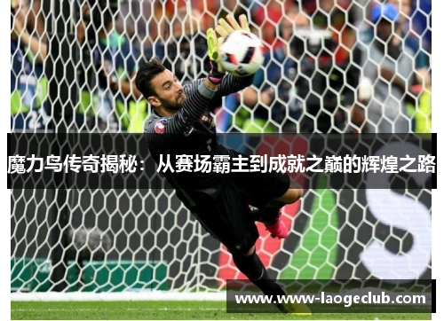 魔力鸟传奇揭秘：从赛场霸主到成就之巅的辉煌之路